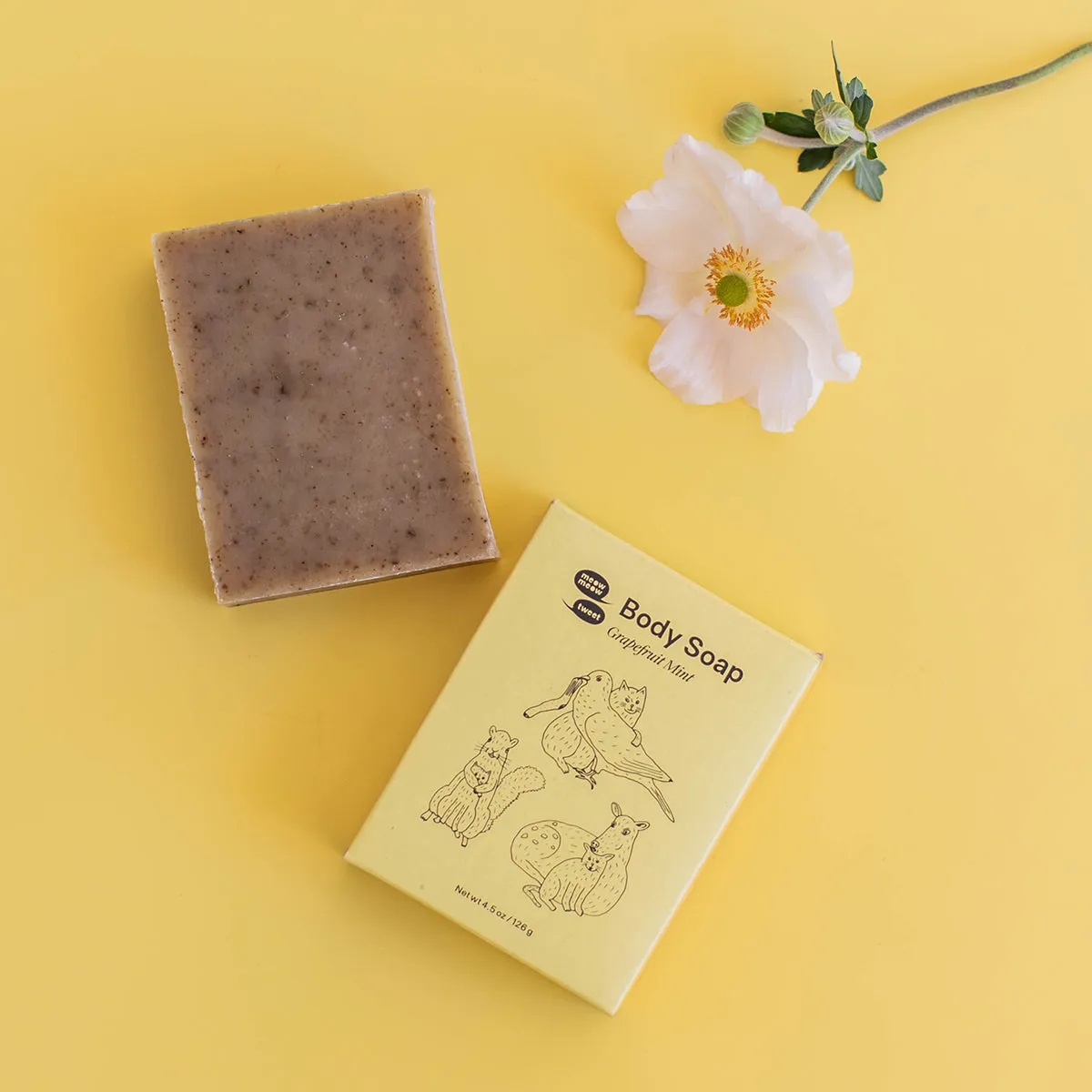 Body Soap
