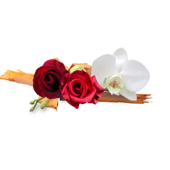 Compare to aroma PLUMERIA AIR FRESHENER & BURNING OIL® (DISCOUNTED)