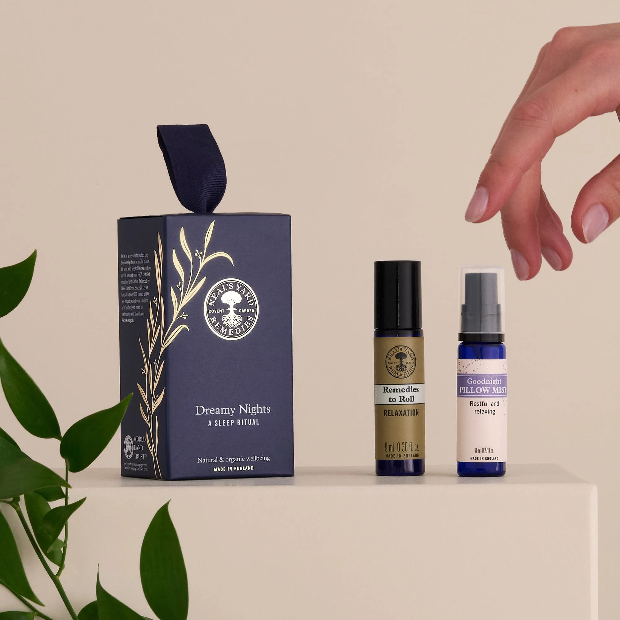 FREE GIFT: Dreamy Nights - A Sleep Ritual