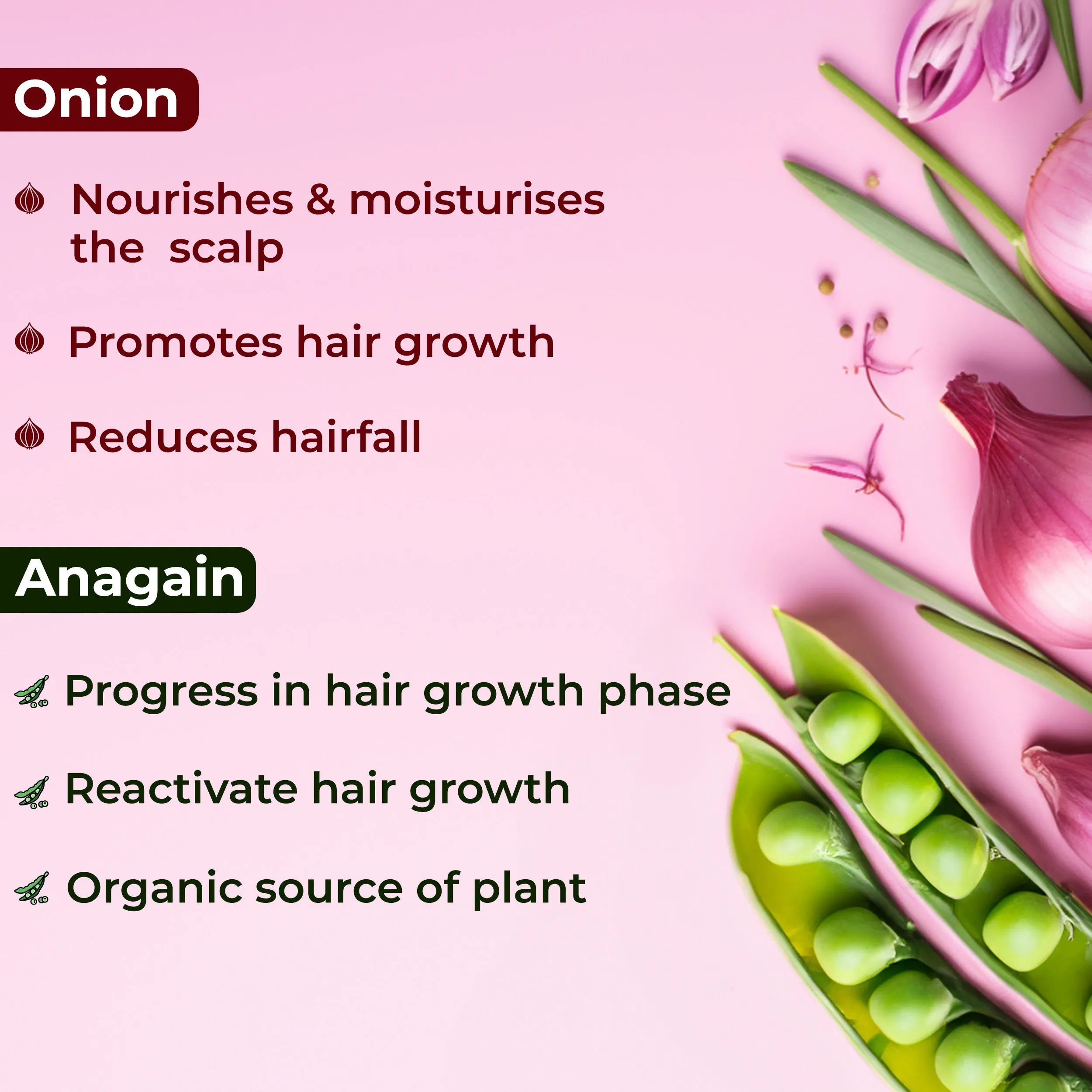 Good Vibes Hair Fall Control Onion Scalp Serum | Onion Extracts | Pea Sprout Extracts | Healthy Hair Growth | Hair Nourishment | Enhances volume | All hair Types - 50ml