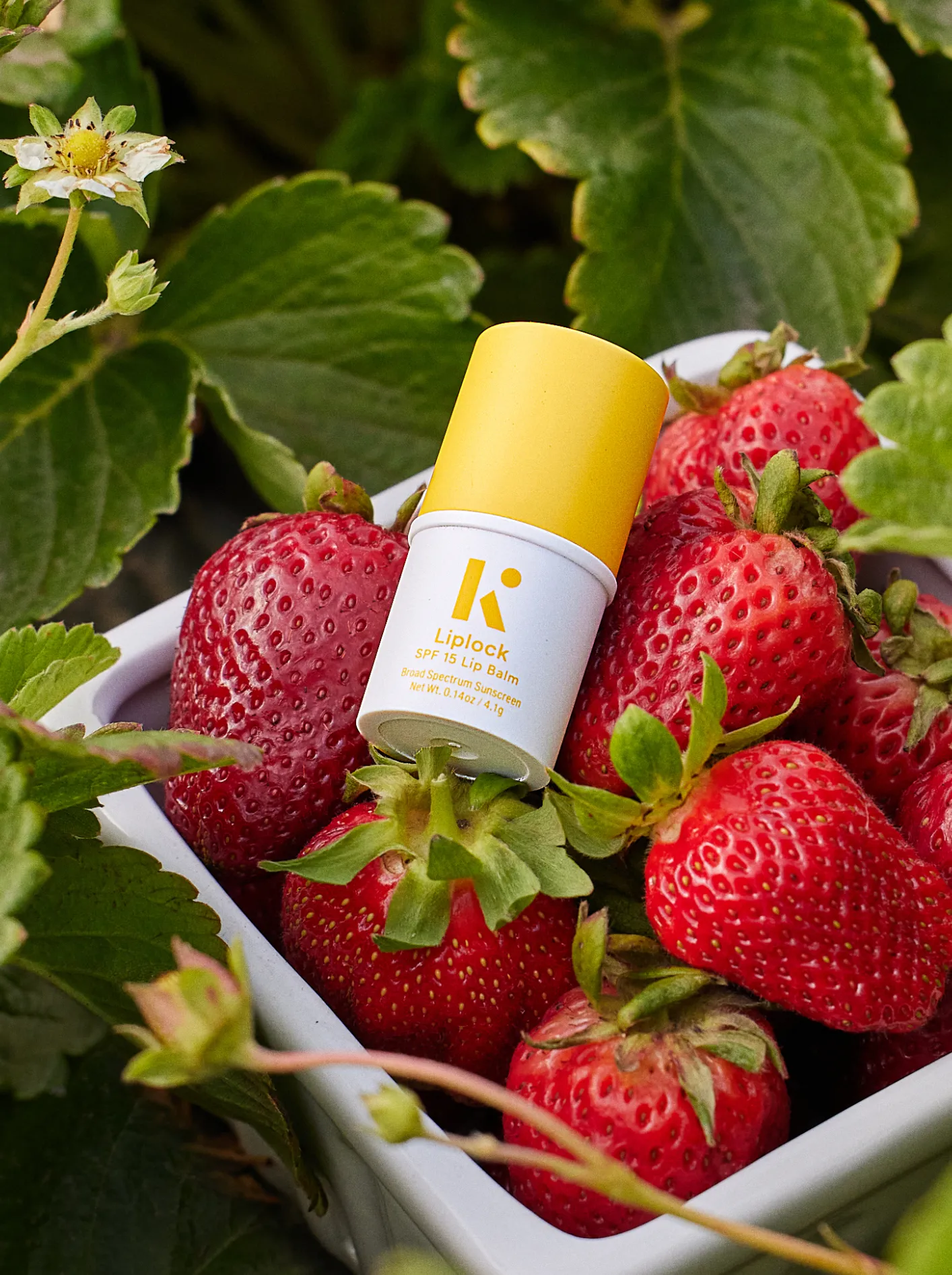 Liplock SPF 15 Balm