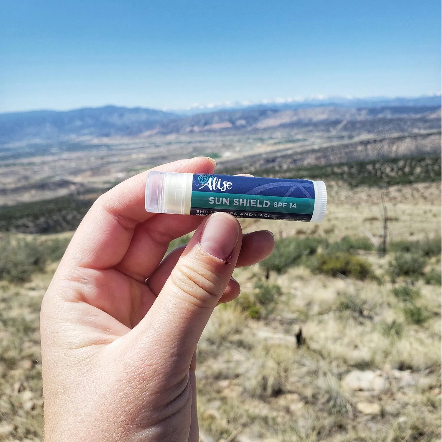 Sun Shield SPF Lip Balm